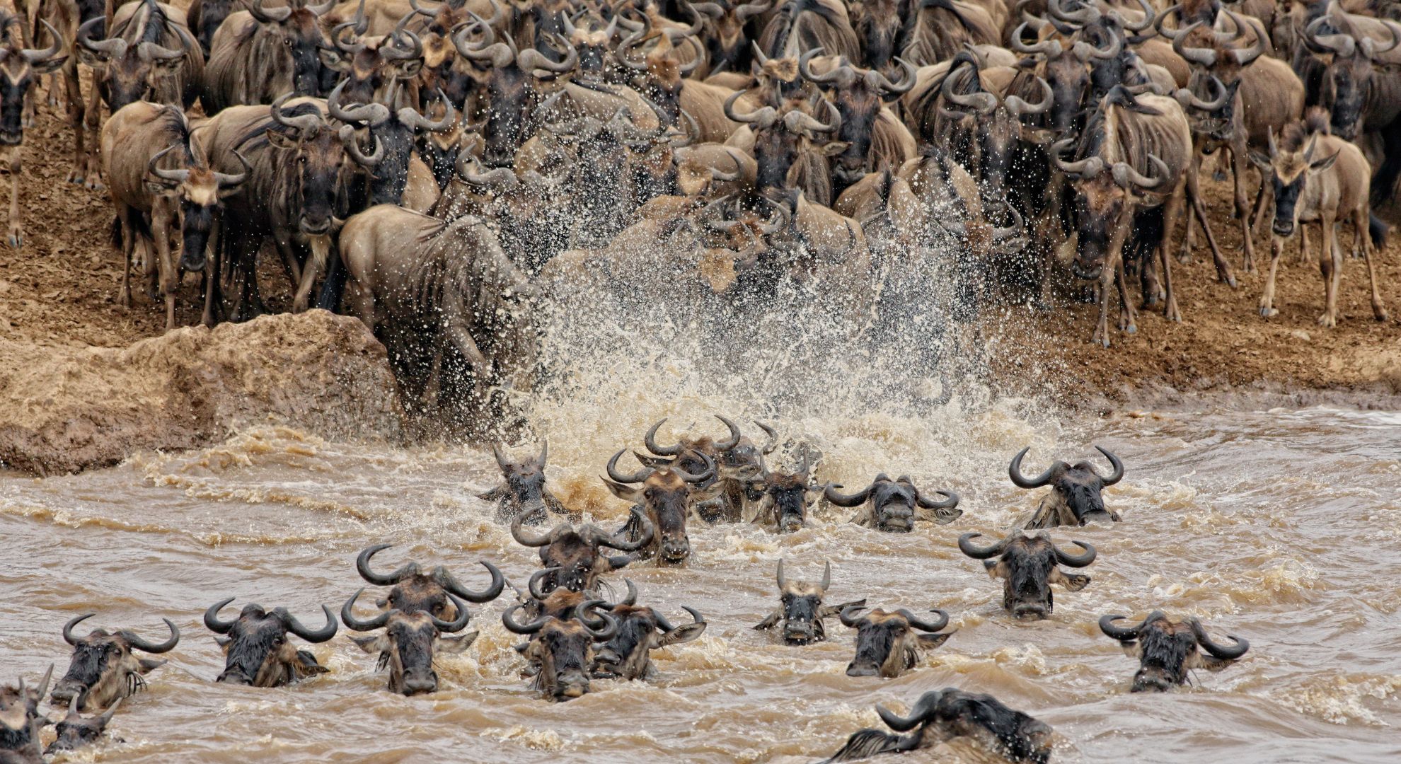 3-Day Masai Mara Camp Packages